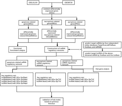 Identification of programmed cell death-related gene signature and associated regulatory axis in cerebral ischemia/reperfusion injury